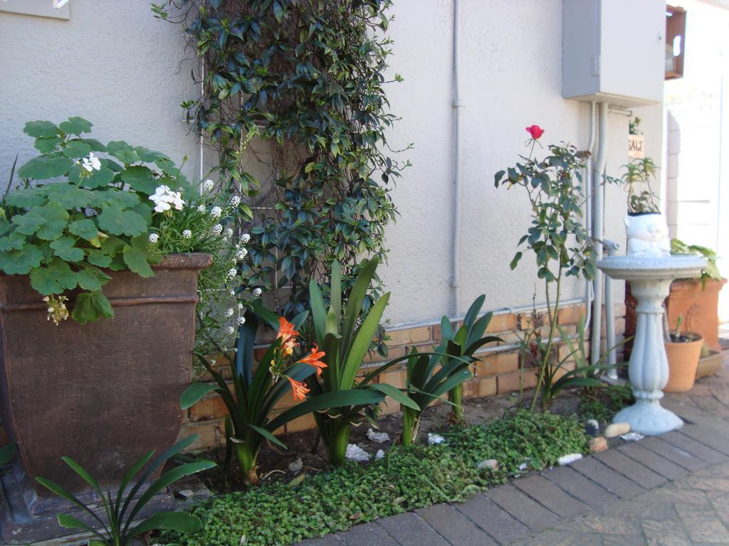 Brookdale House Hotel Cape Town Exterior foto