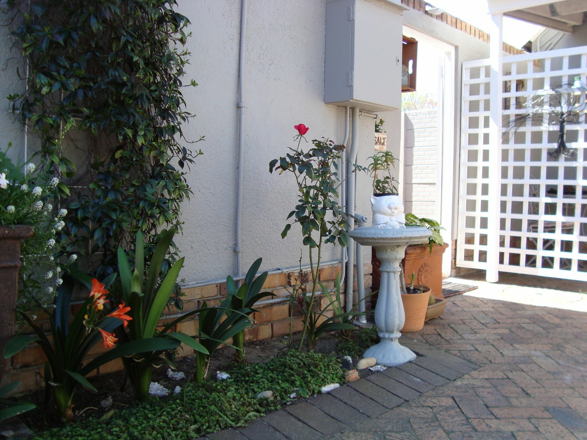 Brookdale House Hotel Cape Town Exterior foto
